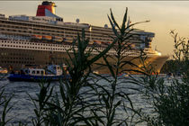 Die Queen Mary 2 beim Auslaufen aus dem Hamburger Hafen von ta-views