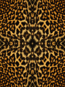 Kaleidoscope Fur 4 by Steve Ball