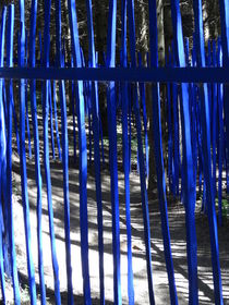 blue fence by ricopic
