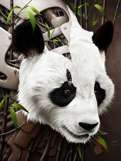 Wild2-the-panda