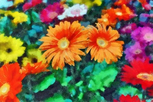 Flowers-oel-pastels-0000