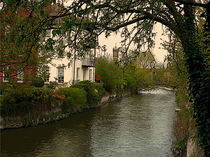 Avon river, Salisbury by dip