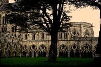 Salisbury Cathedral Cloisters by dip