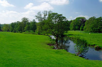 Riverside Meadows, Ashford-in-the-Water von Rod Johnson