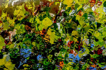 Autumn Ripples Abstract von Jim DeLillo