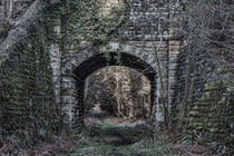 Old Railway Bridge von David Tinsley