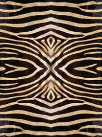 Kaleidoscope Zebra 10 von Steve Ball