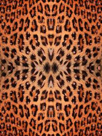 Kaleidoscope Fur 11 by Steve Ball