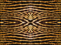 Kaleidoscope Fur 15 von Steve Ball