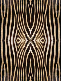 Kaleidoscope Zebra 16 by Steve Ball