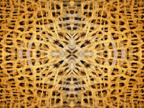 Kaleidoscope Fur 19 by Steve Ball