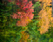 Abstract Autumn by Jim DeLillo