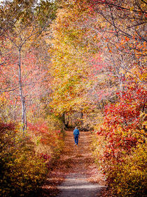 Autumn Stroll by Jim DeLillo