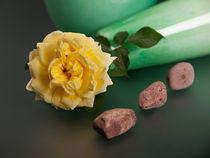 Gelbe Rose mit Steinen von Wolfgang Wittpahl