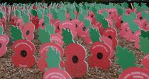 We will remember them poppies by Andrew Heaps