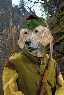 Robin Dog - Der Rächer vom Sherwood Forest von ir-md