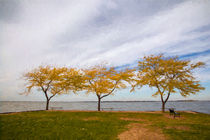Fall Colors on Lake Erie by John Bailey
