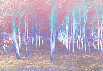 Autumn woods 5 von Joseph Borsi