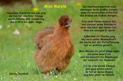 Miss-marple-mn
