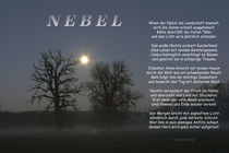 Nebel by Nicola Turnbull