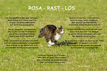 ROSA - RAST - LOS von Nicola Turnbull