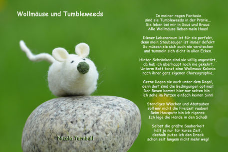 Wollmaeuse-und-tumbleweeds-mn