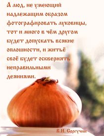 About taking puctures of onions by Raymond Zoller