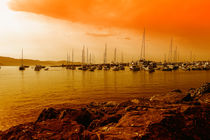 orange harbour santa margherita von Joseph Borsi