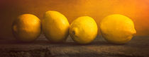 Four Lemons by James Rowland