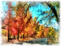 Der bunte Herbstweg (The colorful autumn walk) von Wolfgang Pfensig