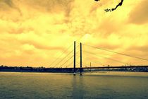 Brücke über den Rhein by leddermann