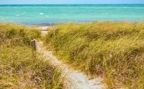 Pathway To Sandspur Beach by John Bailey