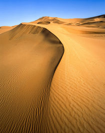 Merzouga dunes Morocco von Sean Burke