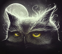 Owl and the Moon von Lukas Brezak