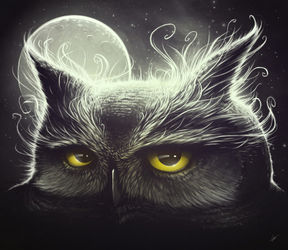 Owl-and-the-moon-print-0112