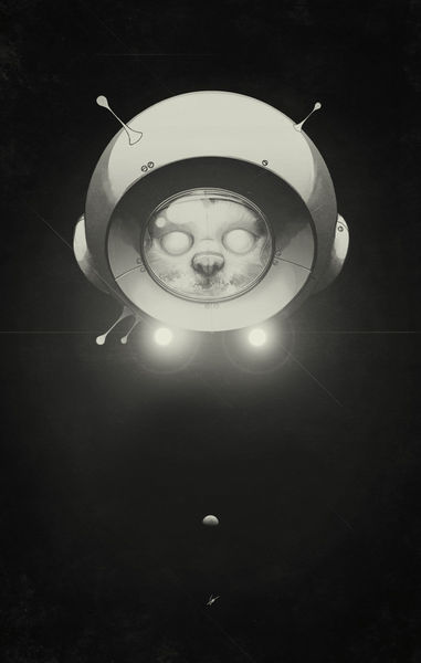 Space-kitty-print-0112