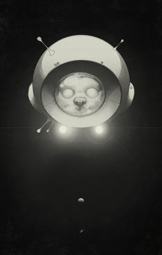 Space-kitty-print-0112