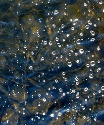 Bubbles in the river by Ruth Baker