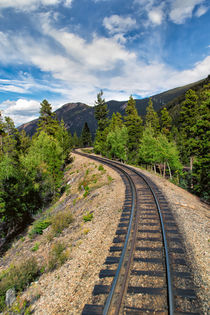 Narrow Gauge Tracks In Silver Country von John Bailey