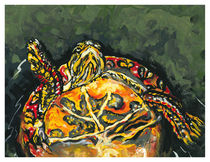 Painted Turtle von Robin (Rob) Pelton