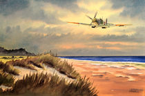 Spitfire MK 9 von bill holkham