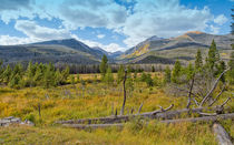 Rocky Mountain National Park Vista by John Bailey