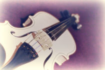 Violine by mario-s