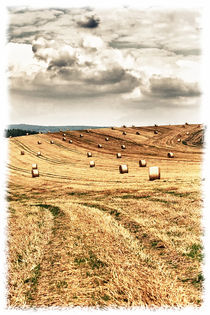 'Straw Bales' by mario-s