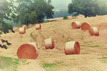 Straw Bales by mario-s