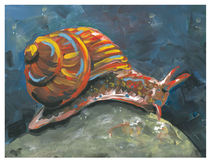 Pop Art Snail von Robin (Rob) Pelton