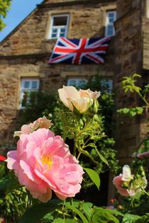 Englands Roses by Michael Beilicke