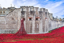Poppies at The Tower Of London von Graham Prentice