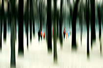 Zwischen den Bäumen  by Bastian  Kienitz