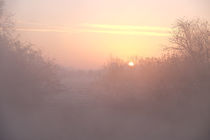 misty sunrise by mark severn